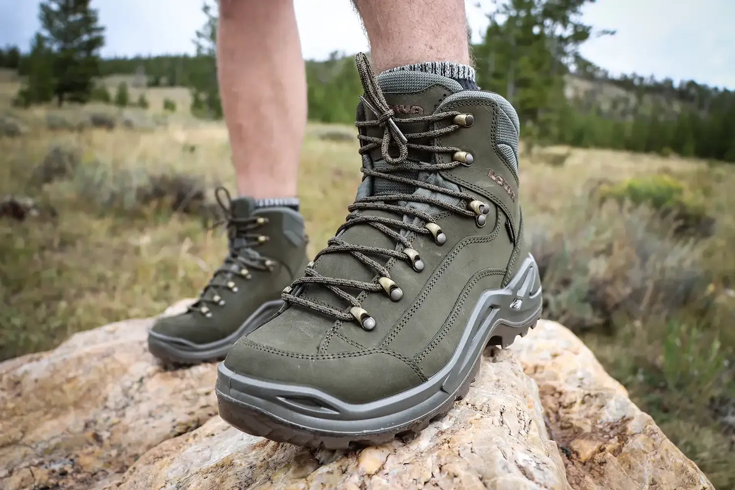 Lowa trekking shoes discount