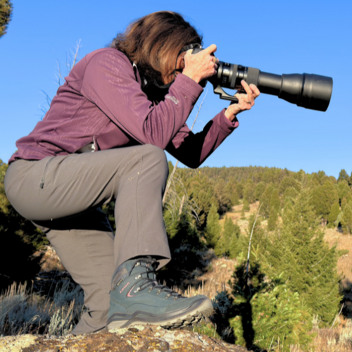 Wildlife Conservation: Part of Everyone's Outdoor Experiences