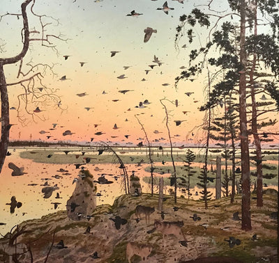 Bird Migration - by Wezil Walraven, Field Ornithologist