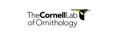 Free Online Birding Course from Cornell’s School of Ornithology