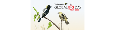 Global Big Day - May 9th, 2020!