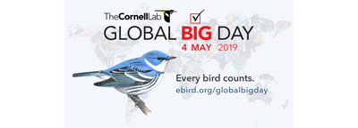 Join LOWA! Cornell Lab's Global Big Day is May 4th