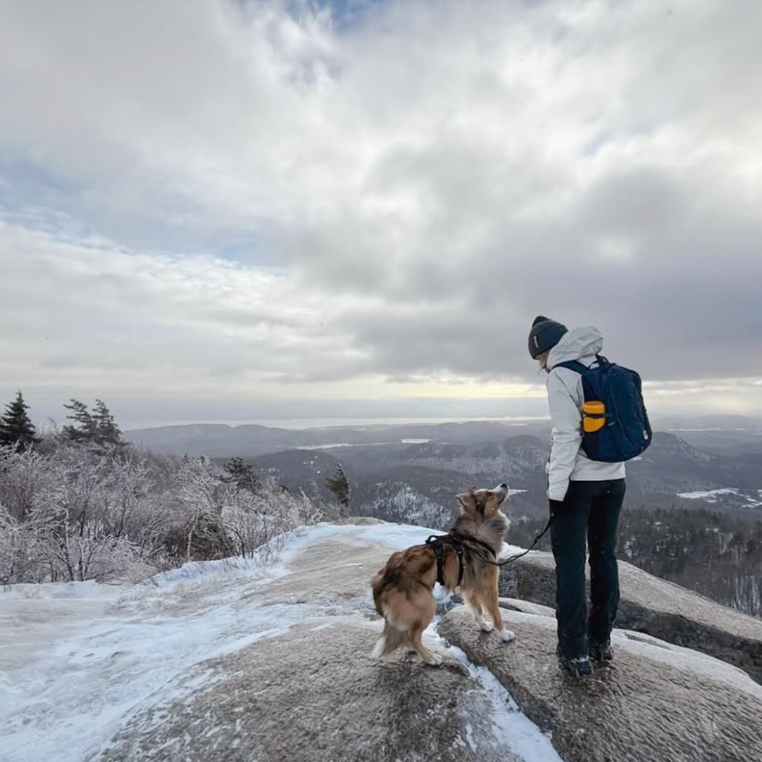 A person and a dog on a snowy overlook