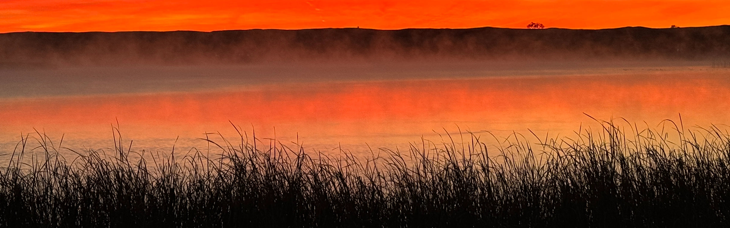 Retail - Field Hunting (Women's) Banner