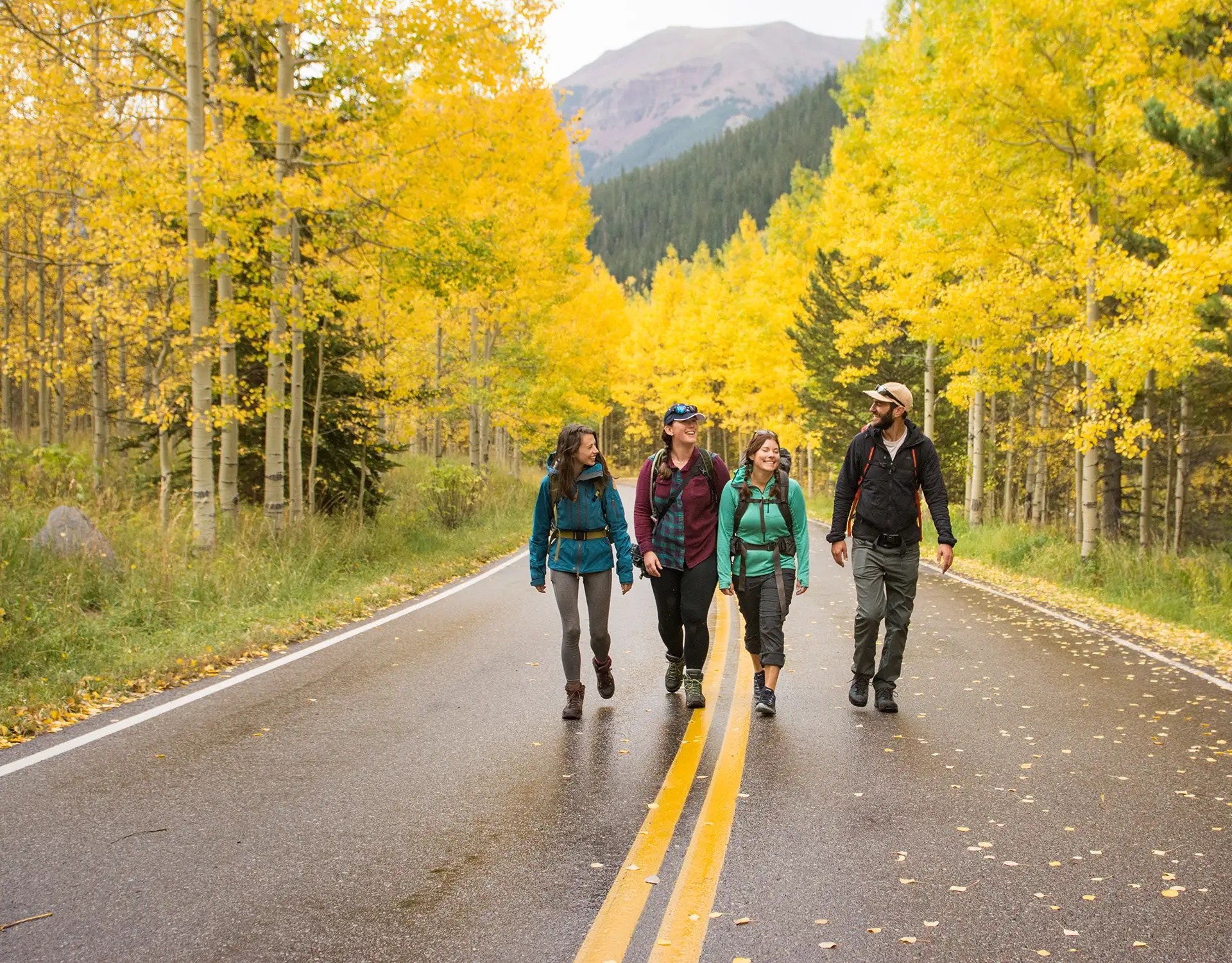 Group of four friends hiking along road with yellow autumn trees